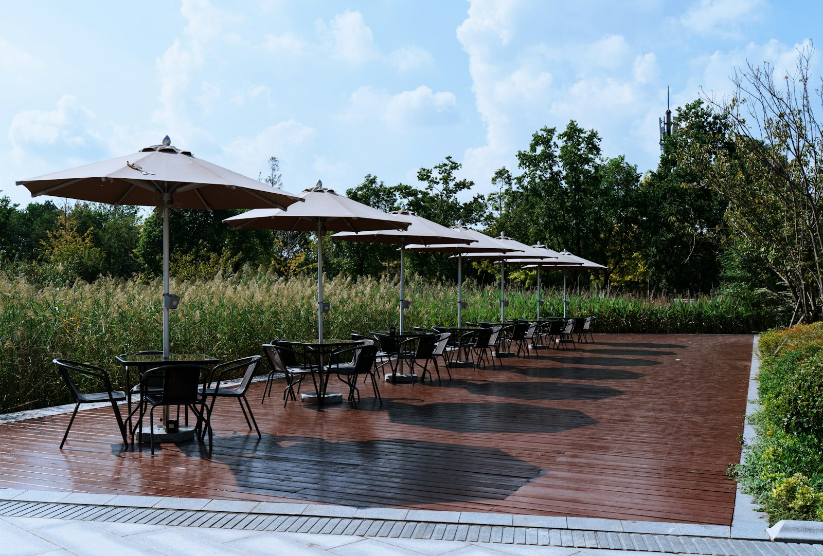 Outdoor café tables and chairs under umbrellas