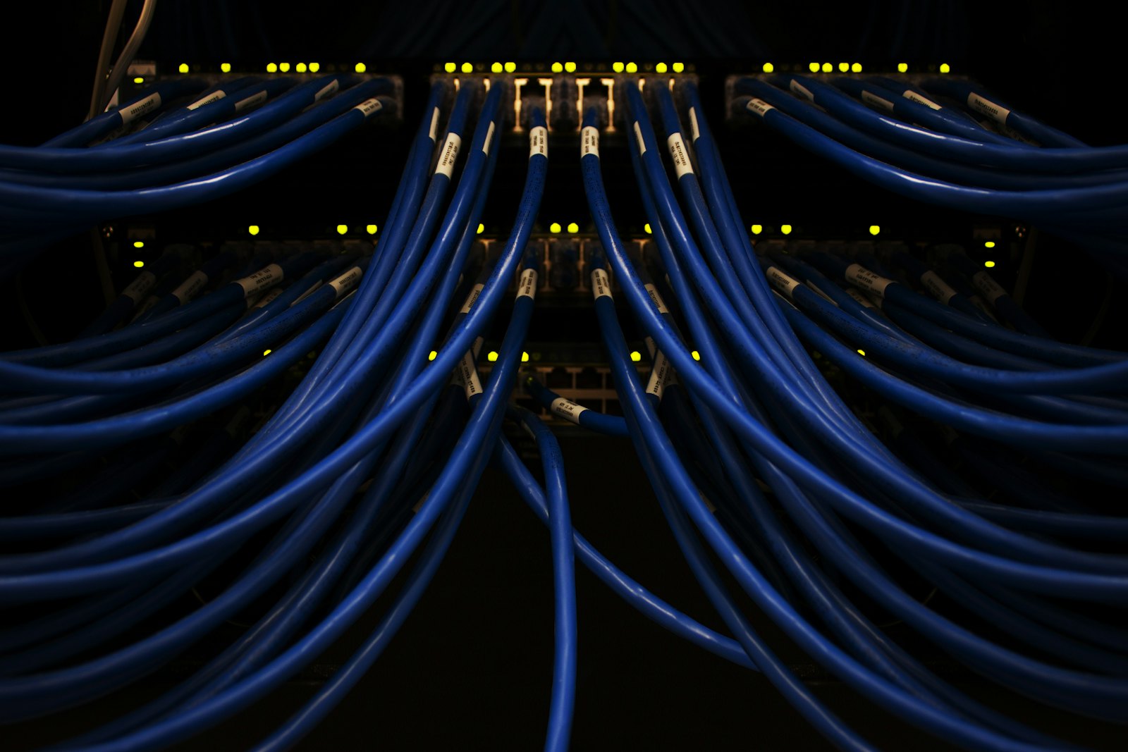 Blue network cables running into a switch